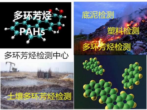 多環芳烴檢測