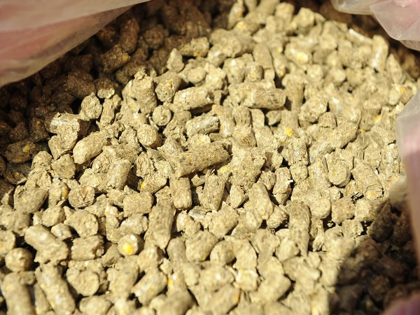 飼料檢測