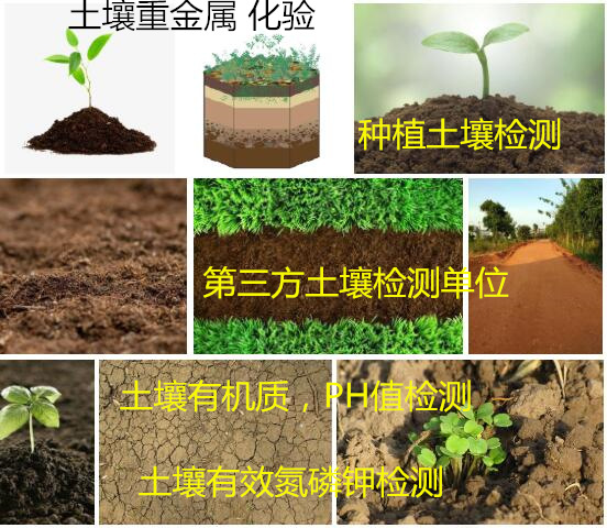 中山市農(nóng)田土壤檢測(cè) 土壤營(yíng)養(yǎng)指標(biāo)檢測(cè)機(jī)構(gòu)