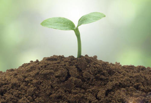 江門市土壤重金屬檢測 種植土壤有機質(zhì)檢測中心