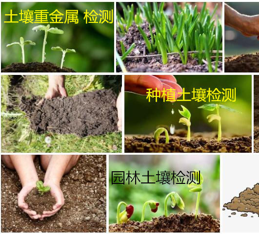 江門市土壤重金屬檢測 種植土壤有機質(zhì)檢測中心