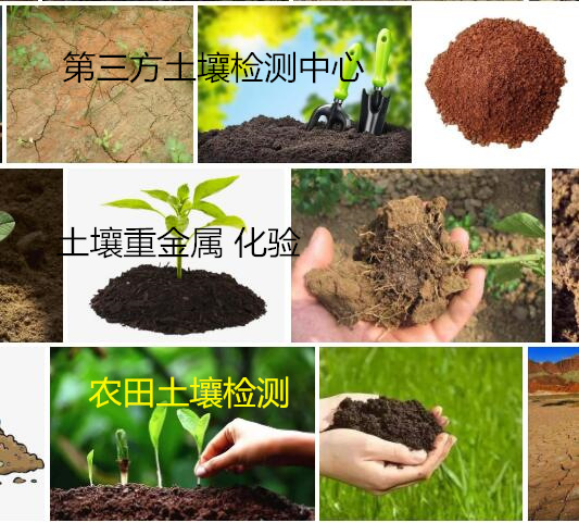 珠海市種植土壤檢測 常規重金屬化驗中心