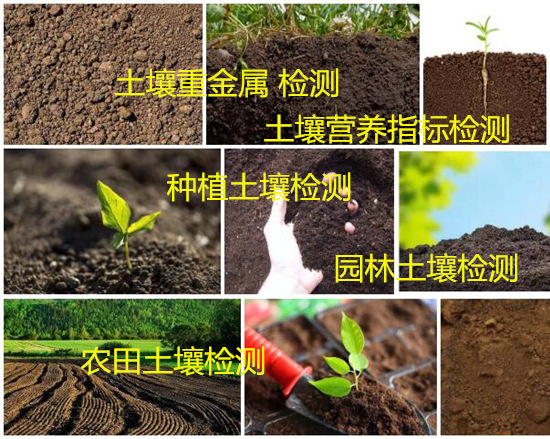 清遠市土壤檢測中心 土壤重金屬檢測要多少錢