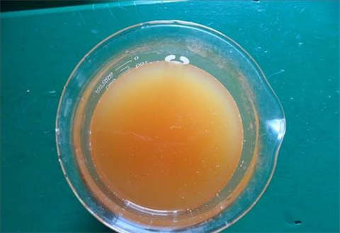 東莞飼料添加劑檢測乳酸檢測總酸含量檢測公司