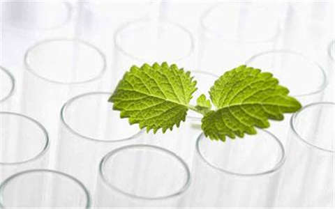 廣州植物提取物檢測微生物檢測其他污染物檢測公司