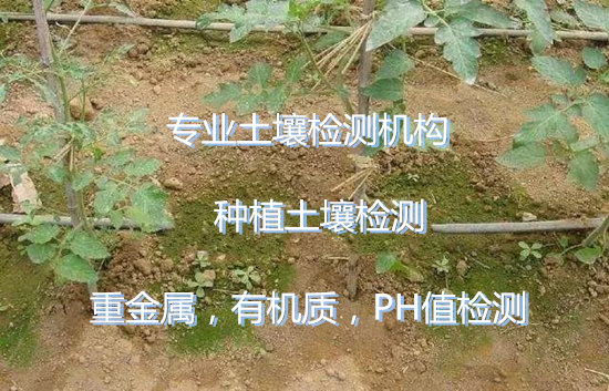 廣州市土壤重金屬化驗(yàn) 農(nóng)田土壤檢測(cè)中心