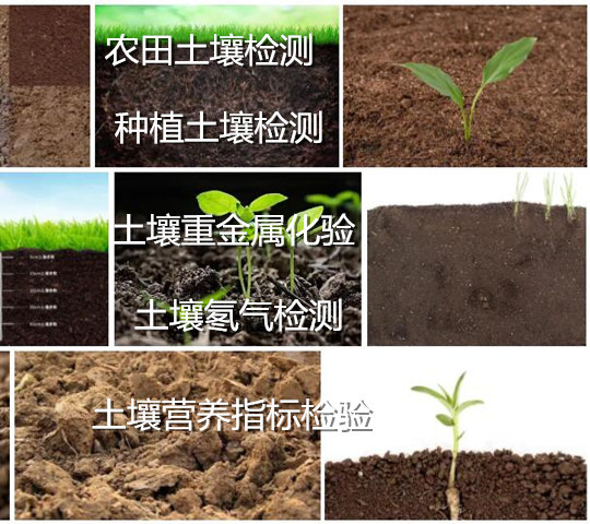 佛山市第三方土壤水質檢測 重金屬化驗實驗室