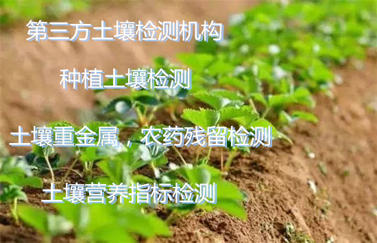 佛山市第三方土壤水質檢測 重金屬化驗實驗室