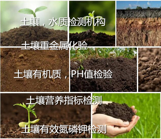 廣州市土壤重金屬化驗(yàn) 農(nóng)田土壤檢測(cè)中心