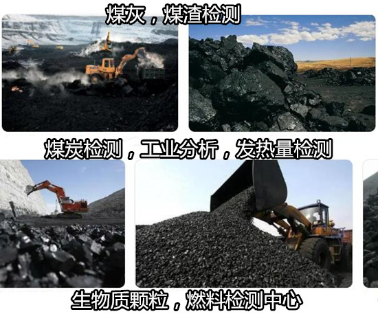 福建生物質(zhì)顆粒工業(yè)分析 煤炭高低位發(fā)熱量檢測(cè)中心