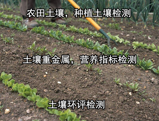 廣州花都土壤有機質檢驗 農田土壤檢測出具CMA報告