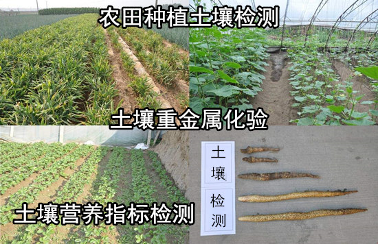 佛山市土壤檢測 土壤重金屬化驗單位