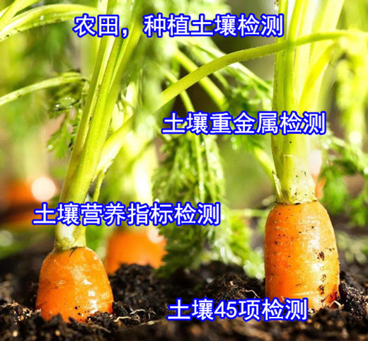 廣州花都土壤有機質檢驗 農田土壤檢測出具CMA報告
