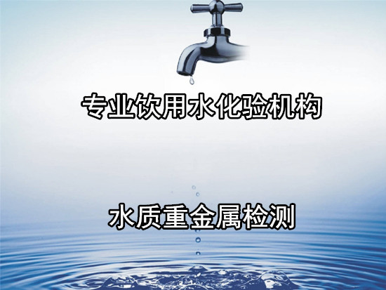 肇慶懷集天然山泉水檢測 地下深井水化驗中心
