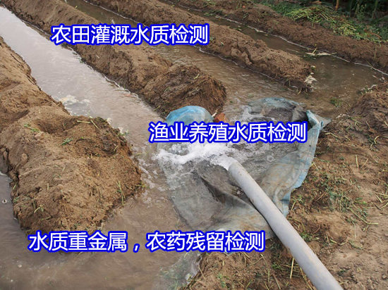 玉林市地表水質(zhì)量檢測(cè) 水質(zhì)氨氮檢測(cè)如何收費(fèi)