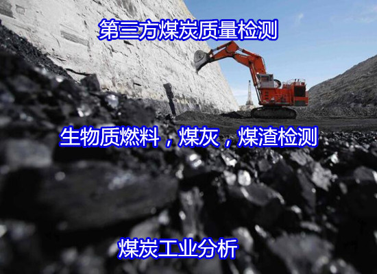 南海區(qū)污泥元素分析，煤炭檢測(cè)多久出結(jié)果