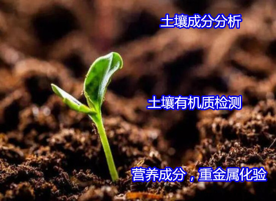 吳川市土壤氡含量檢測 農藥殘留檢測如何收費