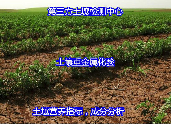吳川市土壤氡含量檢測 農藥殘留檢測如何收費