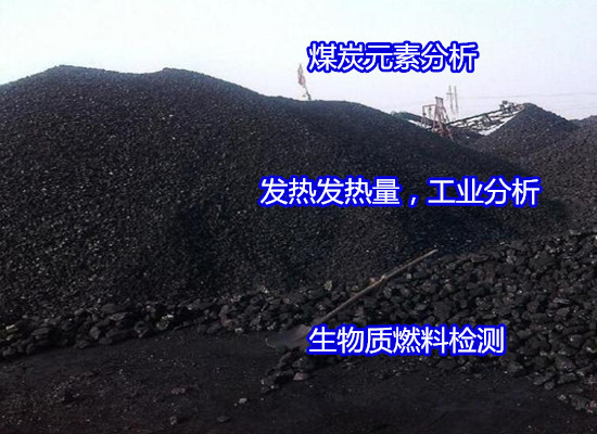 深圳龍華煤炭焦渣特性檢測 工業(yè)煤炭熱值化驗(yàn)實(shí)驗(yàn)室