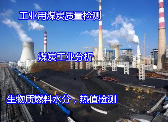 深圳市煤炭熱值檢測 煤灰成分分析可出CMA報告