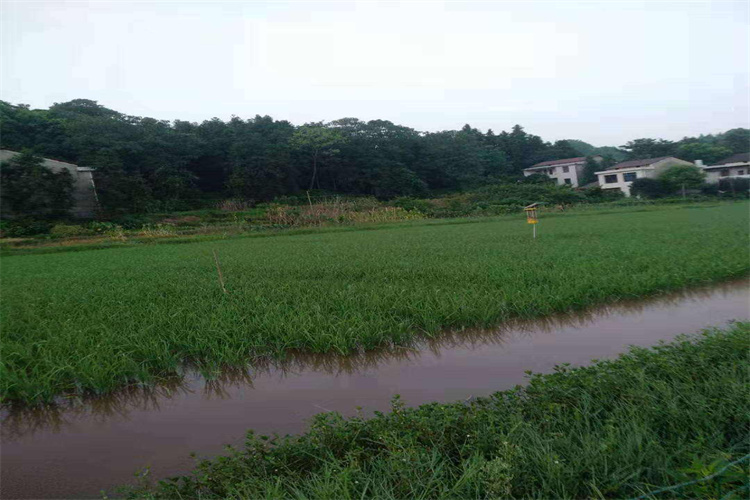 深圳市土壤氡含量第三方檢測多久出結(jié)果