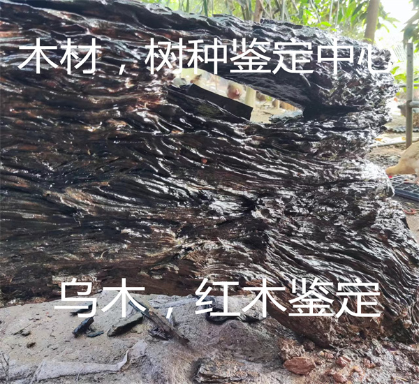 紅酸枝木材質(zhì)鑒定 紅木家具樹種檢測(cè)