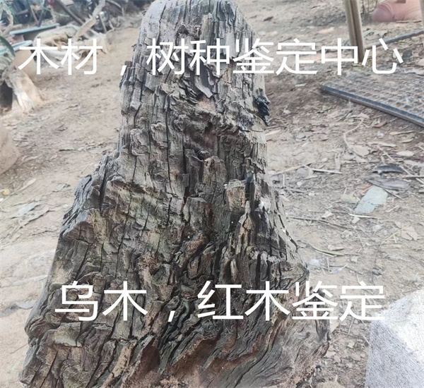 紅酸枝木材質(zhì)鑒定 紅木家具樹種檢測(cè)