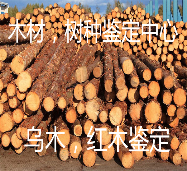 紅酸枝木材質(zhì)鑒定 紅木家具樹種檢測(cè)