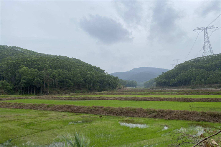 種植土壤檢測