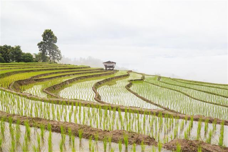 土壤常規(guī)項(xiàng)目檢測