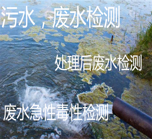 工業廢水二氯甲烷檢測 急性毒性檢測