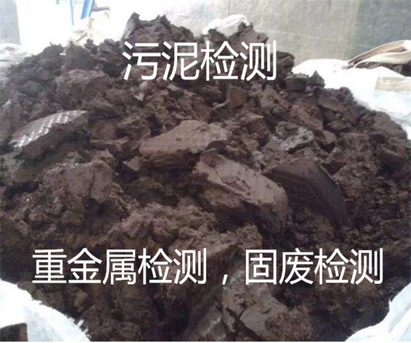 污泥淤泥重金屬檢測 危廢固廢鑒定