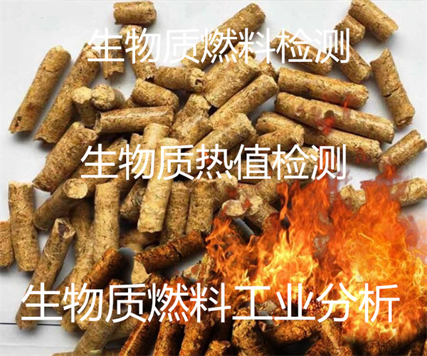 生物質(zhì)燃料檢測(cè)在哪檢測(cè) 生物質(zhì)工業(yè)分析