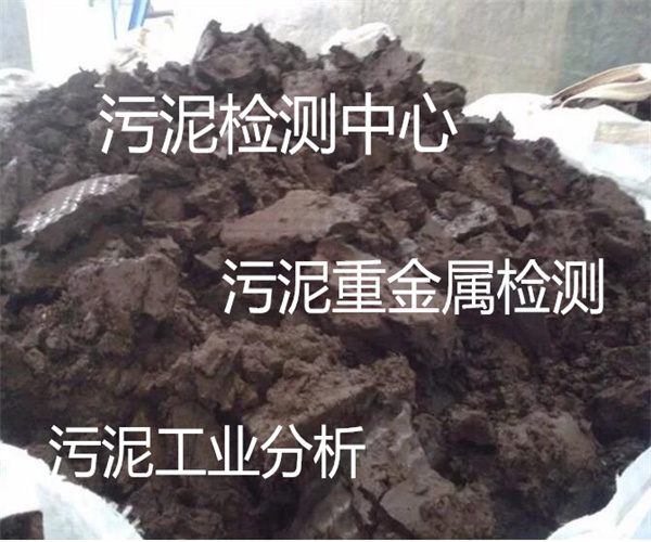 污泥工業(yè)分析 河道污泥重金屬檢測(cè)