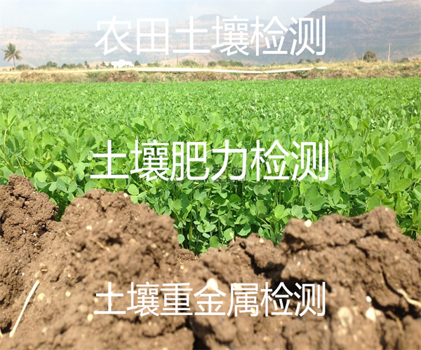 農田土壤肥力檢測 土壤重金屬化驗