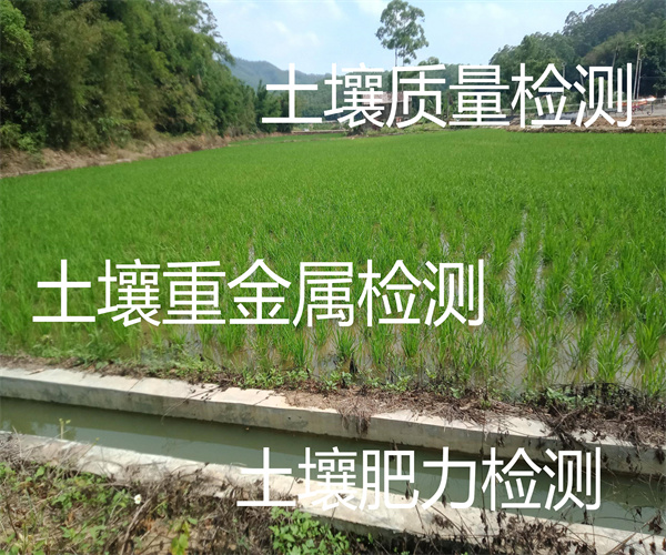 農水田土壤肥力檢測 土壤有機質檢測