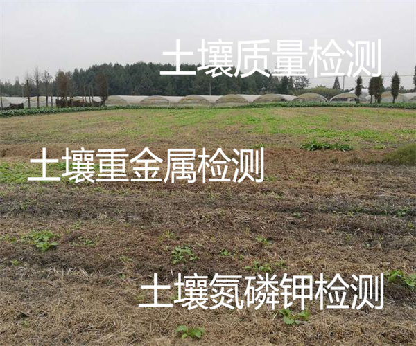 回填土壤質量檢測 土壤環評45項檢測