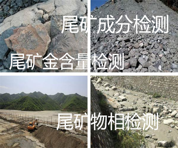 尾礦精成分檢測 尾礦金含量檢測