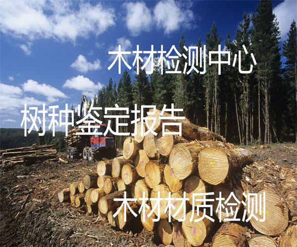 樹種鑒定要多少錢 哪里能做烏木樹種鑒定