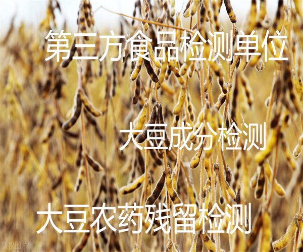 大豆檢測(cè)哪里能做 大豆農(nóng)藥殘留檢測(cè)