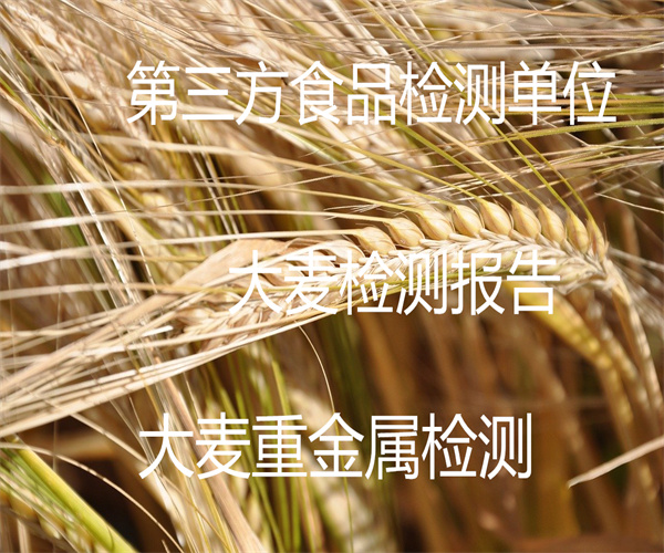 大麥葉酸檢測 大麥粉重金屬檢測