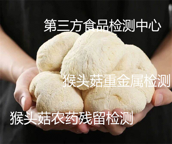 猴頭菇營(yíng)養(yǎng)成分檢測(cè) 猴頭菇含氮量檢測(cè)