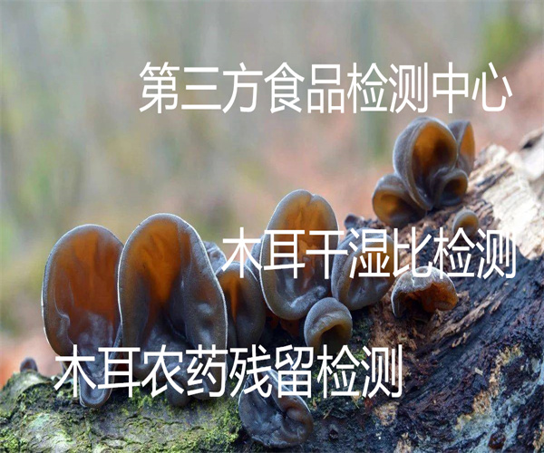 干木耳干濕比檢測(cè) 木耳農(nóng)殘檢測(cè)