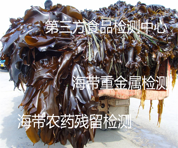 鹽漬海帶重金屬檢測(cè) 海帶微生物檢測(cè)