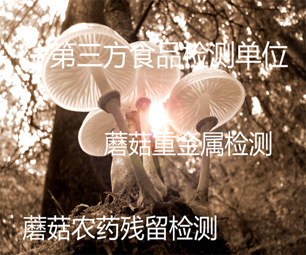 蘑菇檢測(cè)哪里能做 鮮蘑菇重金屬檢測(cè)