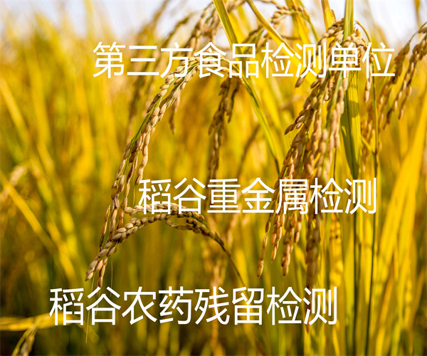 稻谷重金屬檢測 糧食稻谷雜質檢測