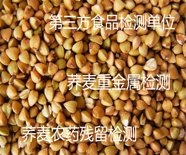 蕎麥污染物檢測 蕎麥仁粗蛋白檢測