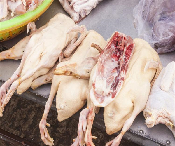 鵝肉檢測(cè)第三方機(jī)構(gòu) 鵝肉獸藥殘留檢測(cè)