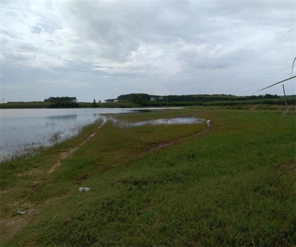 地表水質(zhì)量檢測標(biāo)準(zhǔn) 地表水檢測項目有哪些