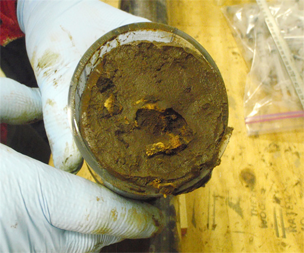 河道沉積物有機質檢測 土壤沉積物檢測方法